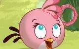 pink-bird